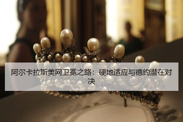 a-er-ka-la-si-mei-wang-wei-mian-zhi-lu-ying-di-shi-ying-yu-de-yue-qian-zai-dui-jue-2-733.jpg