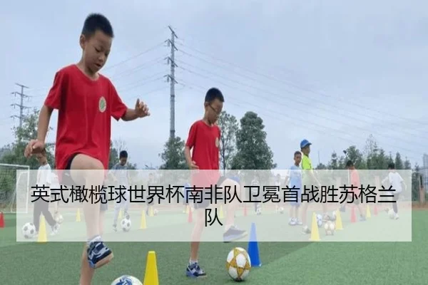 英式橄榄球世界杯南非队卫冕首战胜苏格兰队