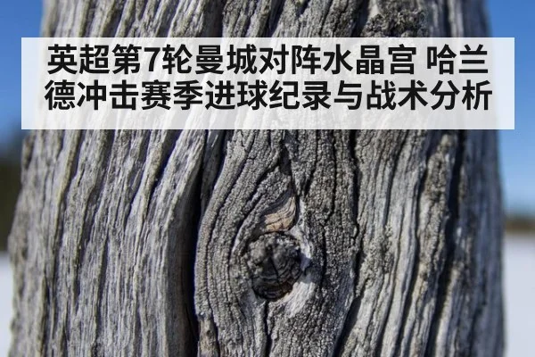 英超第7轮曼城对阵水晶宫 哈兰德冲击赛季进球纪录与战术分析
