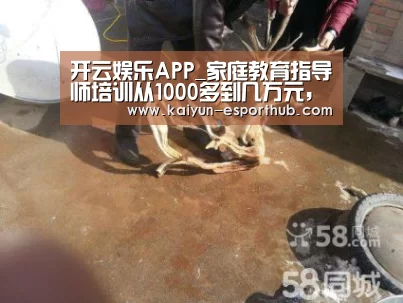 开云娱乐APP_家庭教育指导师培训从1000多到几万元,应该怎么选(图3) 开云足球竞猜